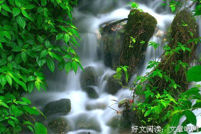 有关个性随笔的句子
