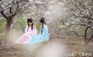 一花句子
