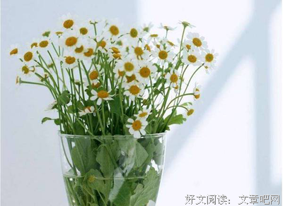 送分啦 | 题目起不好，作文两行泪