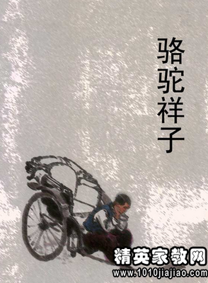 最新的《只是不想辜负了相遇》小说摘抄