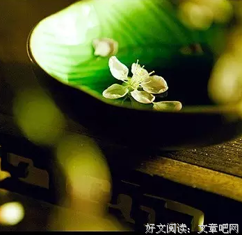 最全的《在最深的红尘里重逢》经典语录大全