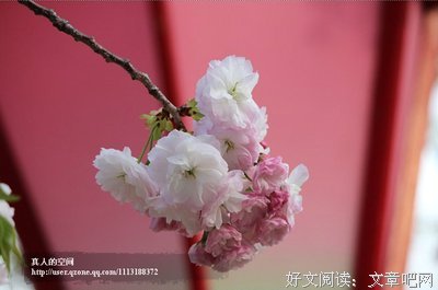 最新的《和你在一起，我很高兴》经典语录