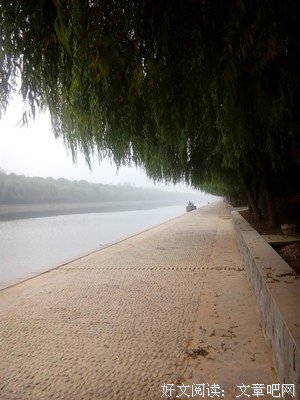 《我坐在琵卓河畔，哭泣》好段摘抄大全