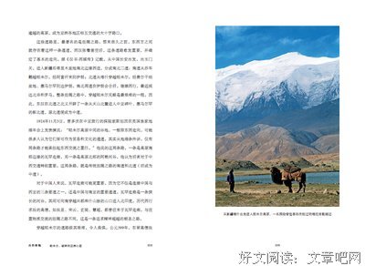 最新的《魅骨》小说书摘