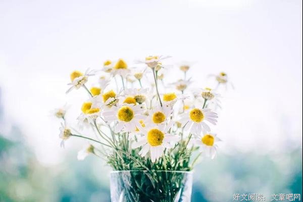 愿你余生，芳华无限，岁月悠扬