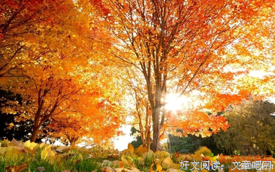 描写旺盛的经典句子