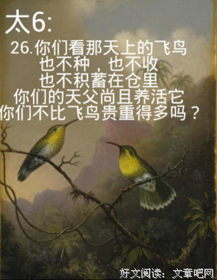 马太格言警句