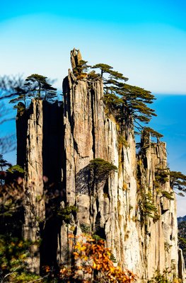 世态炎凉的名人名言
