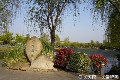 关于白娘子的语句