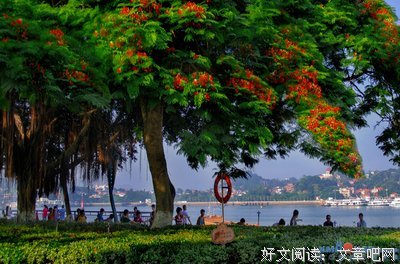 晴时还那树花开名句欣赏
