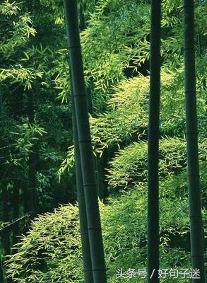 偶遇人生优美的句子