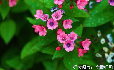 这些方法必定能让你走出失恋阴影，重新站起来