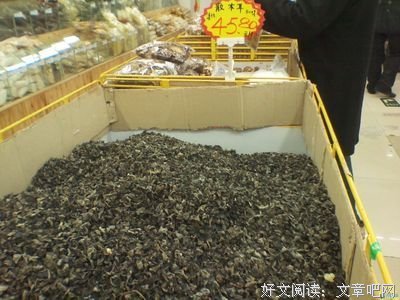最新的橘花散里名言