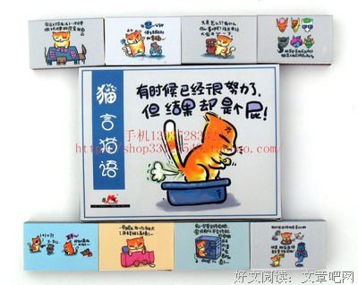 关于猫语猫寻名言大全