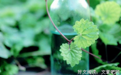 苏九姑娘名言大全