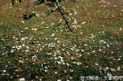 最全的《清朝·说家粉自对南好天风始便五州》名句欣赏