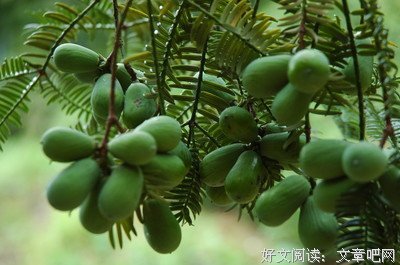 最全的《长生地就我发可千年》经典语句