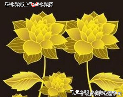 最新的《猫巫妖的洪荒》语录摘抄