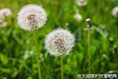 最新的《数有也心他能气对我说谎》经典的句子