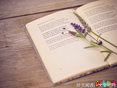 重归于好格言警句