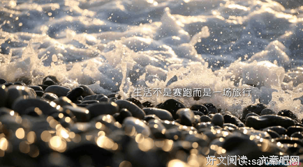 阿波的名言_关于阿波的名言