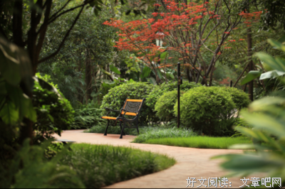 “我们错过了一次，却错过了一生”