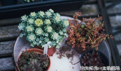 如果一个女人曾这样对你，表明她不爱你，我劝你趁早远离
