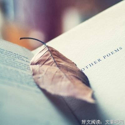 随录优美的句子