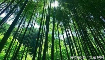触底心灵优美的句子