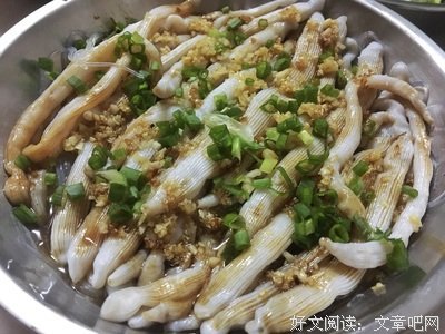 最全的喵星虫子君名言