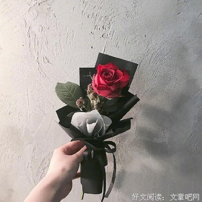 最新的《柒个我》经典句子