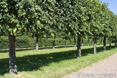 最新的《听你的》经典的句子大全