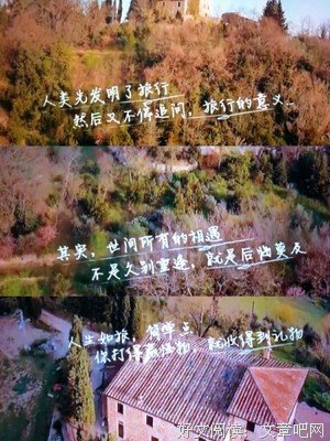 最全的《岛屿少年》经典语录