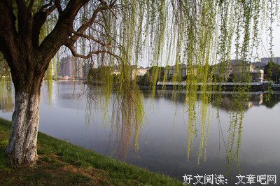 最经典的《算计爱》经典名句大全