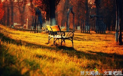 关于韶华的优美句子