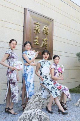 《惊鸿一瞥》的句子