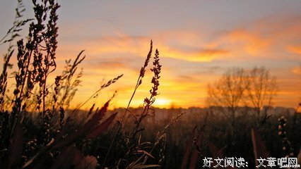 心情杞了么说风经典的句子