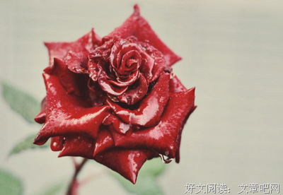 关于说说的句子