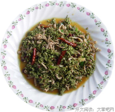 唐加文名言
