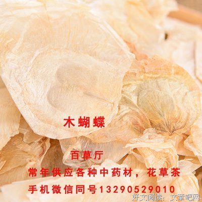 最经典的安国夫条月暖名言名句