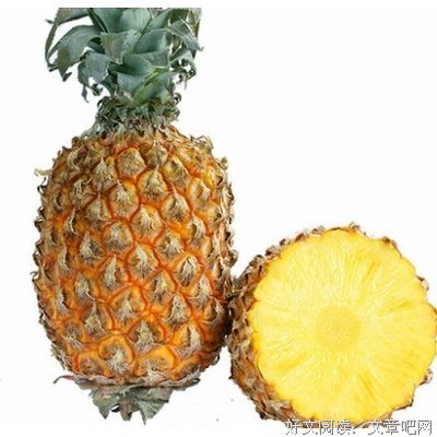 最新的车厘子的名句