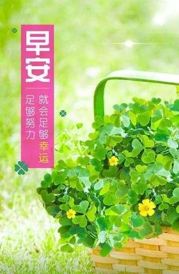 最经典的《短句集》经典语句