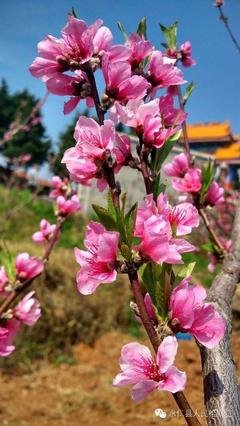 《一生》经典句子