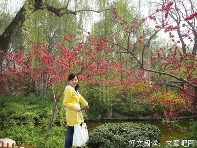 最经典的《妞妞》经典语句