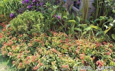 香港人买房实录：你凑够首付了吗？