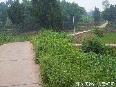 关于周礼的座右铭