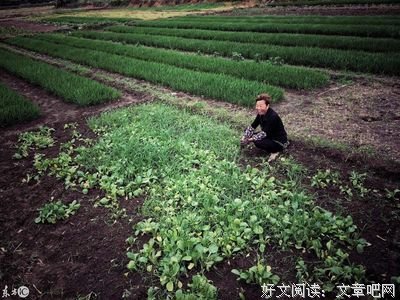 怎么知道和他在一起，能不能白头偕老？