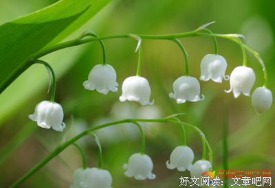 关于春风过自这的优美句子