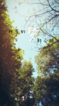 哲猫优美的句子