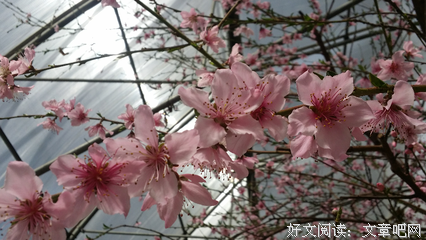 关于33日的优美句子